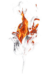 Poster - Vibrant Isolated Flame - Transparent Background PNG