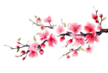 Poster - Springtime Elegance  Cherry Blossom Branch Isolated on Transparent Background - High-Resolution PNG