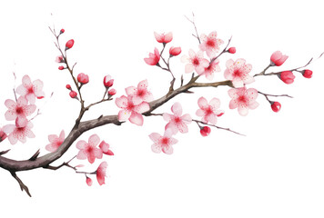 Poster - Spring Elegance  Cherry Blossom Branch Isolated on Transparent Background - High-Quality PNG Image