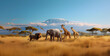 safari animals gathering on the african landscape, national wild life day concept