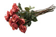 Grand bouquet of roses with long stems, isolated on a white background.