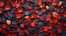 A Group Of Red And Black Leaves On A Surface Of Red And Black Leaves On A Surface Of Red And Black Leaves On A Surface Of Red And Black Leaves On A Surface.