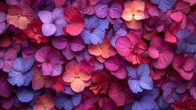 A Bunch Of Purple And Red Flowers That Are In The Middle Of A Wall Of Purple And Red Flowers That Are In The Middle Of The Wall.
