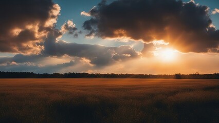 Wall Mural - sunset in the mountains a field of wheat at sunset