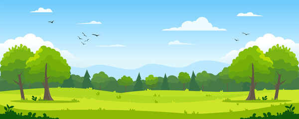 Wall Mural - Beautiful landscape. Green summer forest clearing with grass and trees against the backdrop of a mixed forest of pine trees, hills, birds in the blue sky and clouds. Vector illustration for design.