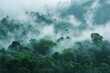 Exotic foggy forest Concept of mysterious natural landscape and unexplored wilderness