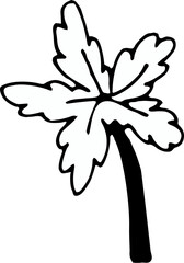 Wall Mural - hand drawn banana palm tree isolated on background. black white icon. vector doodle illustration. fl