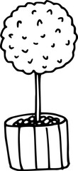 Wall Mural - hand drawn potted laurel tree isolated on background. black white gardening icon. vector doodle illu