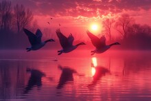 A Majestic Flock Of Geese Gracefully Soar Over The Tranquil Waters Of The Lake, Silhouetted Against The Stunning Hues Of The Sunrise Sky