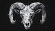 © VisionalMedia - A skull of a ram with horns on a black background. 3d rendering. Grunge background with skull of a goat. Vector illustration.