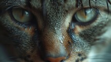 Close-up Of A Cat's Face, Highlighting Intense Eyes, Wet Fur, And Whiskers With Fine Detail, Generative Ai