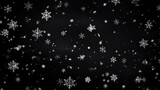 Fototapeta Na sufit - Winter Weather: Snow Flakes Falling on Black Background - Christmas and Winter Concept with Falling