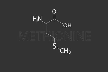 Methionine molecular skeletal chemical formula.