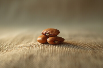 Poster - A minimalist scene with a handful of Kidney Beans arranged to resemble a minimalist landscape on a vast canvas,