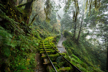 Wall Mural - hiking trail in taipingshan of yilan jianqing huaigu trail