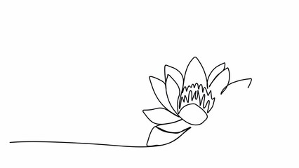 Wall Mural - Flower, one line drawing animation, video clip with alpha channel.