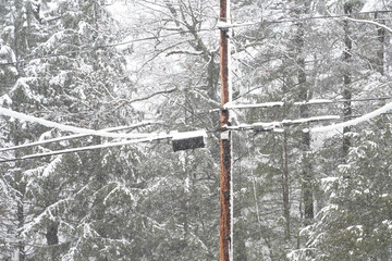 Poster - Utility pole and wires covered with snow in blizzard