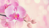 Fototapeta Fototapeta w kwiaty na ścianę - Orchidea