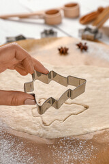 Wall Mural - Woman preparing tasty Christmas cookies, closeup