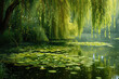 pond with lily pads and a frog, with a weeping willow tree