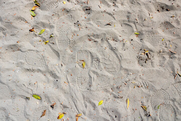 Wall Mural - Sand with leaves and shoe prints 