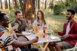 © anatoliycherkas - Meeting of multiracial group of friends toasting and drinking wine during party in the forest