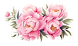 © Svitlana - Watercolor pink peony large beautiful flowers print poster vector illustration wedding engagement