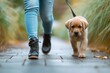 A stylish person stands on the ground, sporting jeans and comfortable footwear while walking a lively puppy of a popular dog breed on a leash in the great outdoors