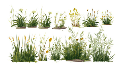 Poster - marsh vegetation set isolated vector style with transparent background illustration