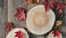Minimal Abstract Background For Presentation Of Cosmetic Products Premium Podium With Wooden Birch Saw Cuts And Red Autumn Leaf Vines Eco Template For Design Top View Selective Focus