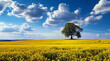 Rapeseed field landscape. Blooming mustard on blue sky background. Canola plants with yellow flowers. Biofuel and green renewable energy concept