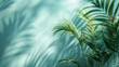 © Fokke Baarssen - green palm shadow blue color texture pattern cement wall background,, nature organic cosmetic products for sale shop online. Summer tropical beach with minimal concept with copy space