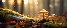 Close-up Shot Captures A Mushroom Amidst Leaves In A Wonderful Autumn Forest Scene, Ai Generated.