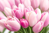 Fototapeta Tulipany - A light pink Tulip on light blurred background, with copy space. Delicate Bouquet of Tulips. Springtime concept. Valentine's Day, Easter, Birthday, Women's Day, Mother's Day