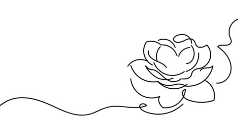 Wall Mural - illustration of a flower line art style vector with transparent background.