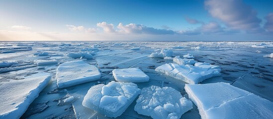 Wall Mural - cracked sea ice in a winter landscape under a blue sky in the afternoon.