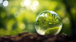 Glass globe ball, tree growing and green nature blur background. Eco earth day concept. Generative AI