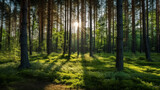 Fototapeta Las - Tranquil Grove: Idyllic Landscapes in a Lush Forest. Generative AI