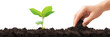clipart hand planting a young tree in fertile soil