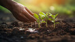 Environment Earth Day In the hands of trees growing seedlings. Close-up hands watering a seedlings on the ground. Generative AI