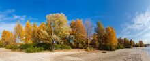 Different Trees With Autumn Leaves On Sandy River Bank