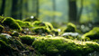 © alexkich - Beautiful Bright Green moss grown up cover the rough stones and on the floor in the forest. Show with macro view. Rocks full of the moss texture in nature for wallpaper.