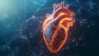 A digital reality hologram of a human heart glowing with digital networks lines