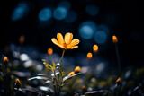 Fototapeta Kwiaty - Yellow flowers close up in a dark forest
Generation AI
