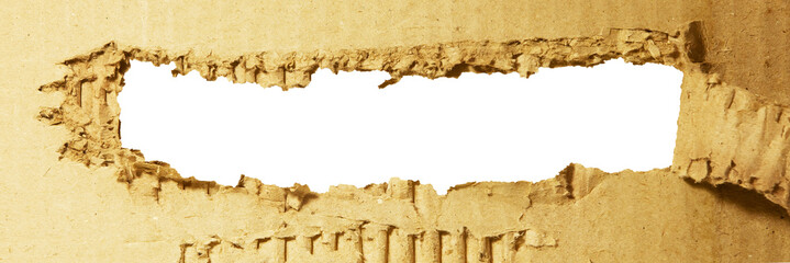 Torn Brown corrugated cardboard, background texture for design work.