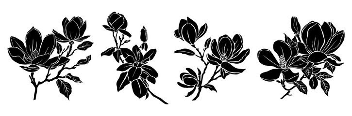 Wall Mural - Set of Black silhouettes of decorative fresh blossoming magnolia branch with leaves and flowers. Hand drawn outline flower icon. Vector monochrome illustration isolated on transparent background.