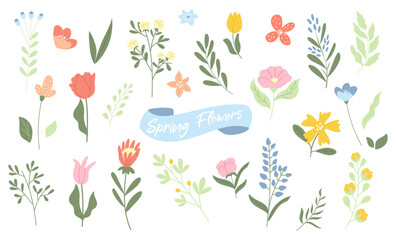 Wall Mural - Hand drawn spring and summer flowers and leaves collection.