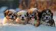 a group of dogs lay down in the snow while their noses are sticking out