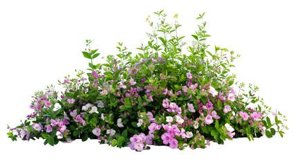 imagine bush of flowers isolated on transparent background