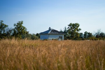 Poster - Rural white structure in the golden field.